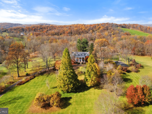 fauquier county horse farm for sale